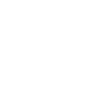Aviator icon