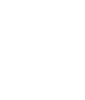 iOS icon